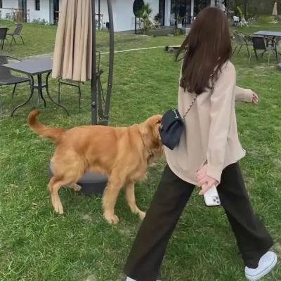 学校霸王